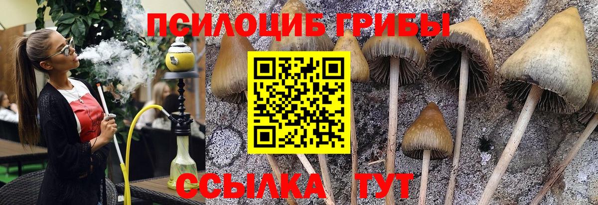 Псилоцибиновые грибы прущие грибы Белогорск