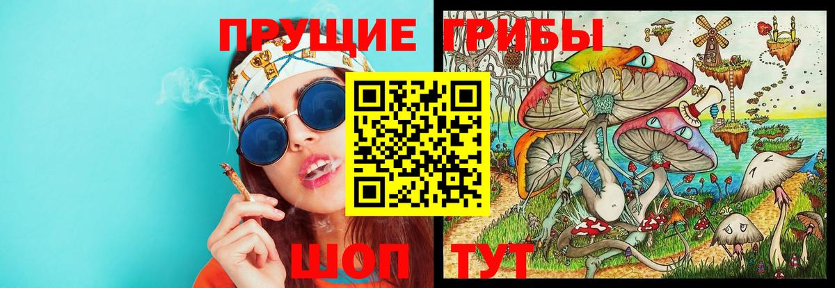 Псилоцибиновые грибы MAGIC MUSHROOMS  Вход с VPN  Галлюциногенные грибы Psilocybe  Белогорск 